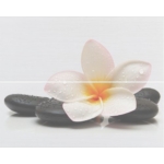 Kép 1/2 - Zalakerámia Kendo falburkoló lap szett, 20 x 50 x 0,9 cm, többszínű, SPA F-53021